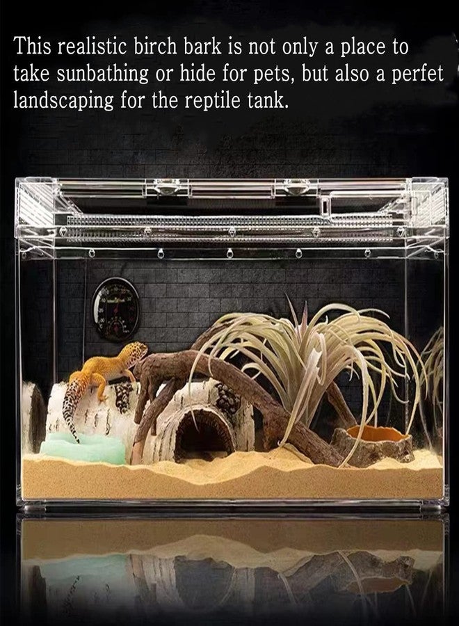 relaqcc Reptile Hides and Caves Birch Tree Bark Trunk Habitats Decor Aquarium Decoration Wood for Lizard Geckos Snake Spiders Frogs Turtle (Small) - Image 2